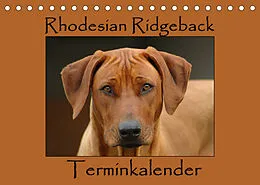 Kalender Rhodesian Ridgeback Terminkalender (Tischkalender 2022 DIN A5 quer) von Anke van Wyk - www.germanpix.net
