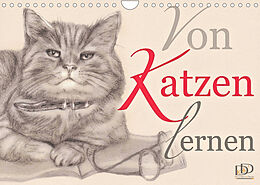 Kalender Von Katzen lernen (Wandkalender 2022 DIN A4 quer) von Dany's Kunst &amp; Design