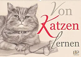 Kalender Von Katzen lernen (Wandkalender 2022 DIN A2 quer) von Dany's Kunst & Design