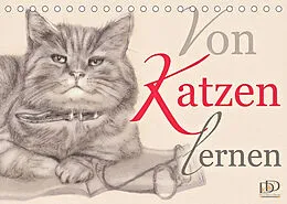 Kalender Von Katzen lernen (Tischkalender 2022 DIN A5 quer) von Dany's Kunst & Design