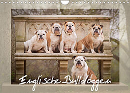 Kalender Englische Bulldoggen (Wandkalender 2022 DIN A4 quer) von Sabrina Wobith Photography - FotoVonMaja
