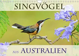 Kalender Singvögel aus Australien (Wandkalender 2022 DIN A4 quer) von BIA birdimagency