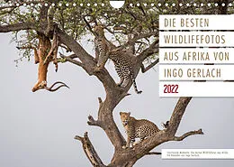 Kalender Emotionale Momente: Die besten Wildlifefotos aus Afrika. (Wandkalender 2022 DIN A4 quer) von Ingo Gerlach
