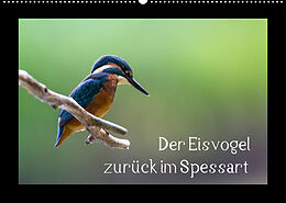Kalender Der Eisvogel zurück im Spessart (Wandkalender 2022 DIN A2 quer) von Björn Reibert