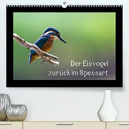 Kalender Der Eisvogel zurück im Spessart (Premium, hochwertiger DIN A2 Wandkalender 2022, Kunstdruck in Hochglanz) von Björn Reibert
