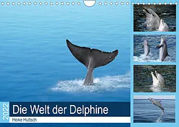 Kalender Die Welt der Delphine (Wandkalender 2022 DIN A4 quer) von Heike Hultsch
