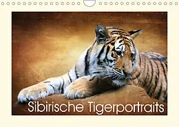 Kalender Sibirische Tigerportraits (Wandkalender 2022 DIN A4 quer) von Heike Hultsch