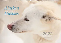 Kalender Alaskan Huskies (Wandkalender 2022 DIN A2 quer) von Urbach & Urbach