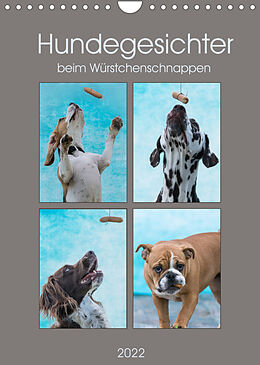 Kalender Hundegesichter beim Würstchenschnappen (Wandkalender 2022 DIN A4 hoch) von Sonja Teßen