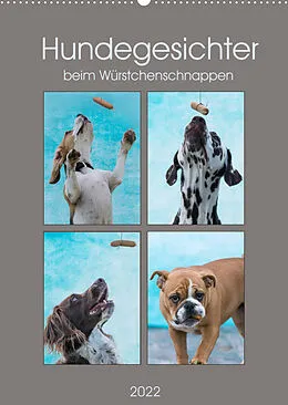 Kalender Hundegesichter beim Würstchenschnappen (Wandkalender 2022 DIN A2 hoch) von Sonja Teßen