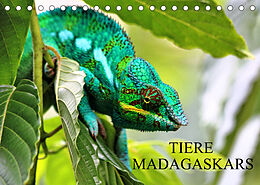 Kalender Tiere Madagaskars (Tischkalender 2022 DIN A5 quer) von Céline Baur