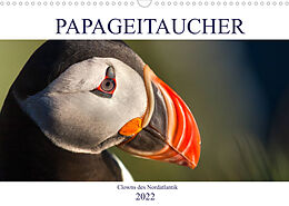 Kalender Papageitaucher: Clowns des Nordatlantik (Wandkalender 2022 DIN A3 quer) von Norman Preißler