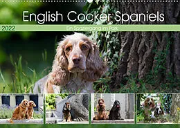 Kalender English Cocker Spaniels - Ein Spaziergang im Park (Wandkalender 2022 DIN A2 quer) von Fotodesign Verena Scholze