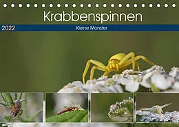 Kalender Krabbenspinnen - Kleine Monster (Tischkalender 2022 DIN A5 quer) von juehust