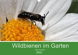 Kalender Wildbienen im Garten (Wandkalender 2022 DIN A3 quer) von Silvia Hahnefeld