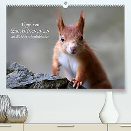 Kalender Tipps von Eichhörnchen an Eichhörnchenliebhaber (Premium, hochwertiger DIN A2 Wandkalender 2022, Kunstdruck in Hochglanz) von Birgit Cerny