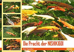 Kalender Die Pracht der NISHIKIGOI - Koi Karpfen (Wandkalender 2022 DIN A3 quer) von Katrin Lantzsch