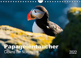 Kalender PAPAGEIENTAUCHER - Clowns der Nordmeere (Wandkalender 2022 DIN A4 quer) von Nicole Wagner