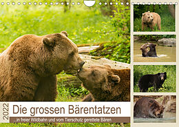 Kalender Die grossen Bärentatzen (Wandkalender 2022 DIN A4 quer) von Photo4emotion.com