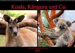 Kalender Koala, Känguru und Co.  Das wilde Tierreich Australiens (Wandkalender 2022 DIN A2 quer) von Raphaela Tesch