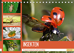 Kalender Insekten. Faszinierend und wichtig (Tischkalender 2022 DIN A5 quer) von Elisabeth Stanzer