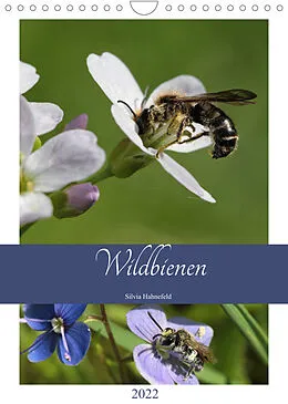 Kalender Wildbienen-Terminplaner 2022 (Wandkalender 2022 DIN A4 hoch) von Silvia Hahnefeld