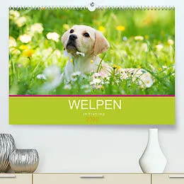 Kalender Welpen im Frühling (Premium, hochwertiger DIN A2 Wandkalender 2022, Kunstdruck in Hochglanz) von Judith Dzierzawa