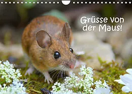 Kalender Grüsse von der Maus! (Wandkalender 2022 DIN A4 quer) von GUGIGEI