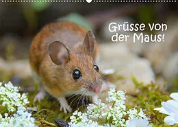 Kalender Grüsse von der Maus! (Wandkalender 2022 DIN A2 quer) von GUGIGEI