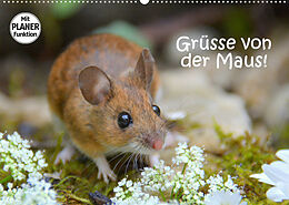 Kalender Grüsse von der Maus! (Wandkalender 2022 DIN A2 quer) von GUGIGEI