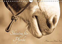 Kalender Shiatsu für Pferde - Photos von Meike Bölts (Wandkalender 2022 DIN A4 quer) von Meike Bölts