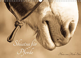 Kalender Shiatsu für Pferde - Photos von Meike Bölts (Wandkalender 2022 DIN A3 quer) von Meike Bölts