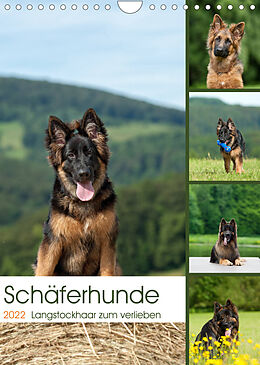 Kalender Schäferhunde Langstockhaar zum verlieben (Wandkalender 2022 DIN A4 hoch) von Petra Schiller