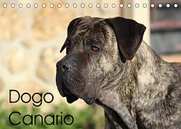 Kalender Dogo Canario (Tischkalender 2022 DIN A5 quer) von Petra Wobst