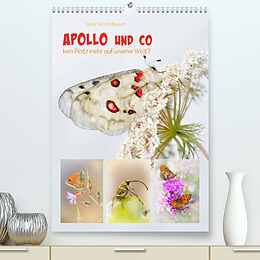 Kalender APOLLO UND CO (Premium, hochwertiger DIN A2 Wandkalender 2022, Kunstdruck in Hochglanz) von Heinz Schmidbauer
