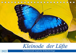 Kalender Kleinode der Lüfte - Faszinierende tropische Schmetterlinge (Tischkalender 2022 DIN A5 quer) von Armin Maywald