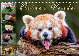 Kalender Kleiner Panda (Tischkalender 2022 DIN A5 quer) von Peter Roder