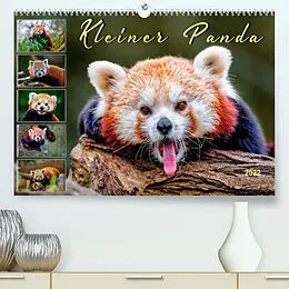 Kalender Kleiner Panda (Premium, hochwertiger DIN A2 Wandkalender 2022, Kunstdruck in Hochglanz) von Peter Roder