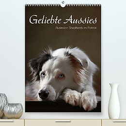 Kalender Geliebte Aussies - Australian Shepherds im Portrait (Premium, hochwertiger DIN A2 Wandkalender 2022, Kunstdruck in Hochglanz) von Jana Behr