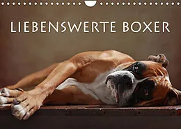 Kalender Liebenswerte Boxer (Wandkalender 2022 DIN A4 quer) von Jana Behr