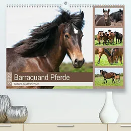 Kalender Barraquand Pferde - seltene Südfranzosen (Premium, hochwertiger DIN A2 Wandkalender 2022, Kunstdruck in Hochglanz) von Meike Bölts