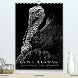 Kalender HAUSTIERE GANZ NAH (Premium, hochwertiger DIN A2 Wandkalender 2022, Kunstdruck in Hochglanz) von Anké Hunscha
