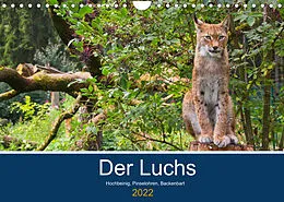 Kalender Der Luchs - Hochbeinig, Pinselohren, Backenbart (Wandkalender 2022 DIN A4 quer) von Dieter Elstner