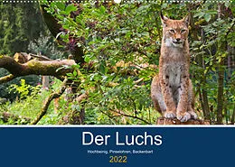 Kalender Der Luchs - Hochbeinig, Pinselohren, Backenbart (Wandkalender 2022 DIN A2 quer) von Dieter Elstner