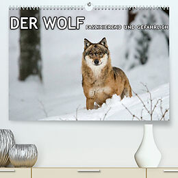 Kalender DER WOLF - faszinierend und gefährlich (Premium, hochwertiger DIN A2 Wandkalender 2022, Kunstdruck in Hochglanz) von Christian Haidl - www.chphotography.de