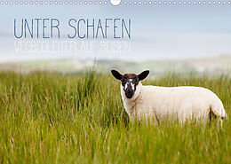 Kalender Unter Schafen - Wegbegleiter auf Reisen (Wandkalender 2022 DIN A3 quer) von Lain Jackson