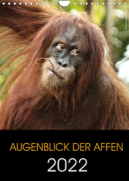 Kalender Augenblick der Affen 2022 (Wandkalender 2022 DIN A4 hoch) von © Mirko Weigt, Hamburg