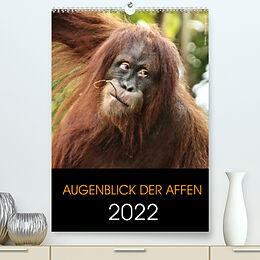 Kalender Augenblick der Affen 2022 (Premium, hochwertiger DIN A2 Wandkalender 2022, Kunstdruck in Hochglanz) von © Mirko Weigt, Hamburg