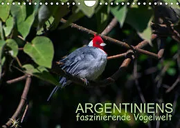 Kalender Argentiniens faszinierende Vogelwelt (Wandkalender 2022 DIN A4 quer) von Bernd Zillich