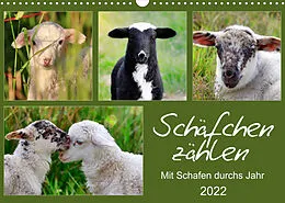 Kalender Schäfchen zählen - Mit Schafen durchs Jahr (Wandkalender 2022 DIN A3 quer) von Sabine Löwer